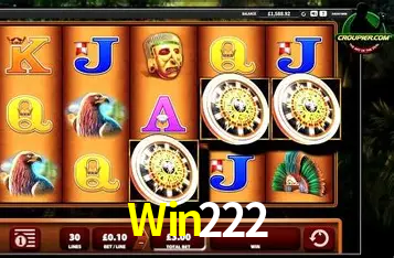Interface Premium Win222